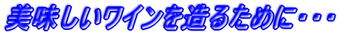 C𑢂邽߂ɁEEE